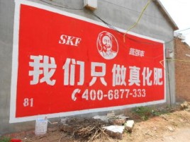 利辛刷墙广告”蕴含了时代命题