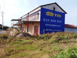 利辛必须知道的墙体广告形势
