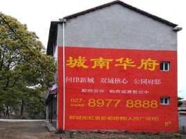利辛百分之90的人都不了解的农村墙体广告