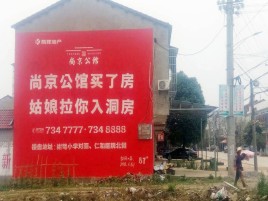 利辛墙体广告在乡镇、农村市场的媒体优势