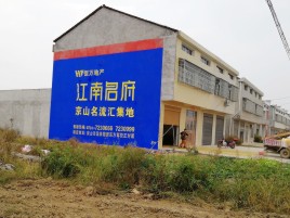 利辛农村墙体广告在不同形式上面展现的不同特色