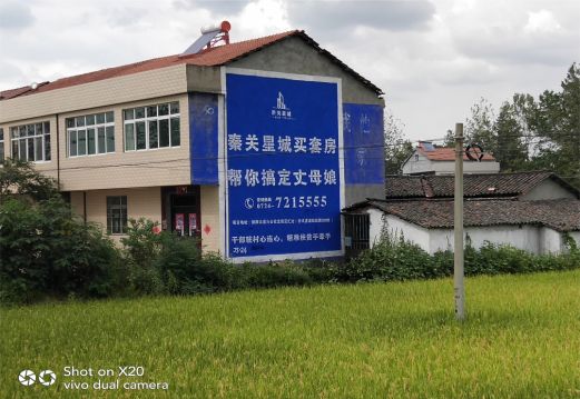 利辛决定墙体广告价格的因素有哪些?