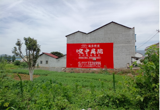 利辛做墙体广告的意义