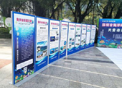 利辛KT板的种类和知识。